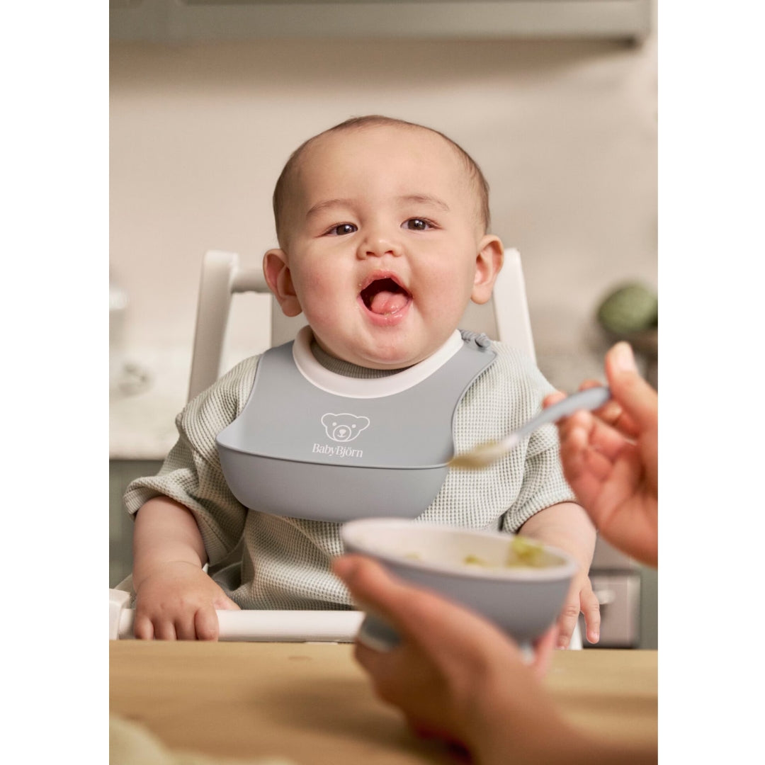 BabyBjorn Baby Bowls 2pk Grey