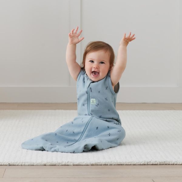 ErgoPouch Jersey Sleeping Bag 0.2 Tog 2-4y Dragonflies