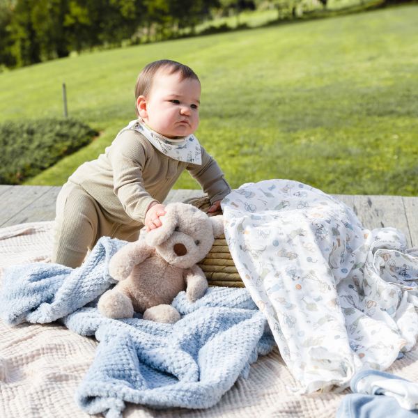 The Little Linen Company Boxed Gift Set Barklife Dog