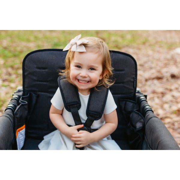 Wonderfold W4 LUXE Quad Wagon Volcanic Black