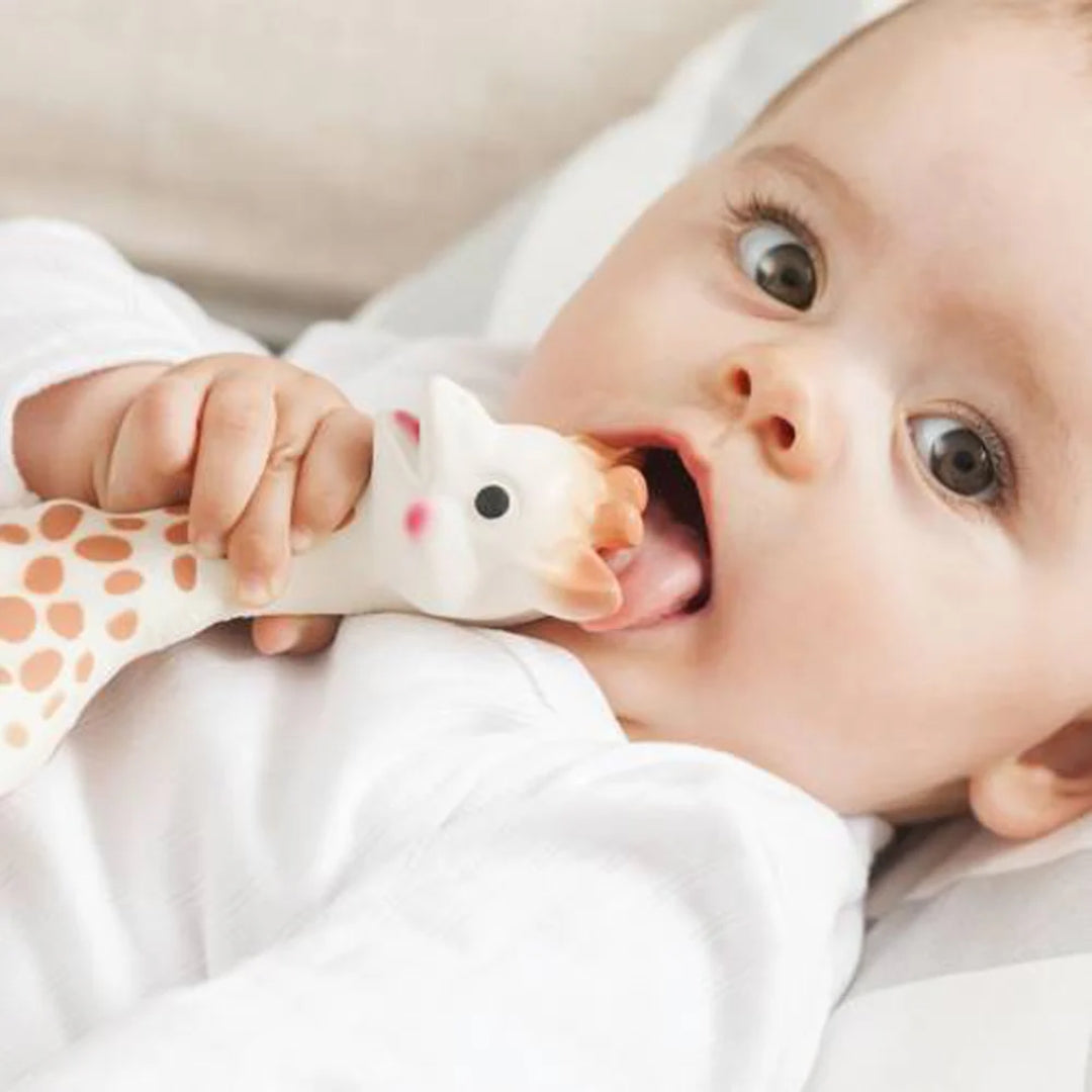 Sophie La Giraffe Gift Box
