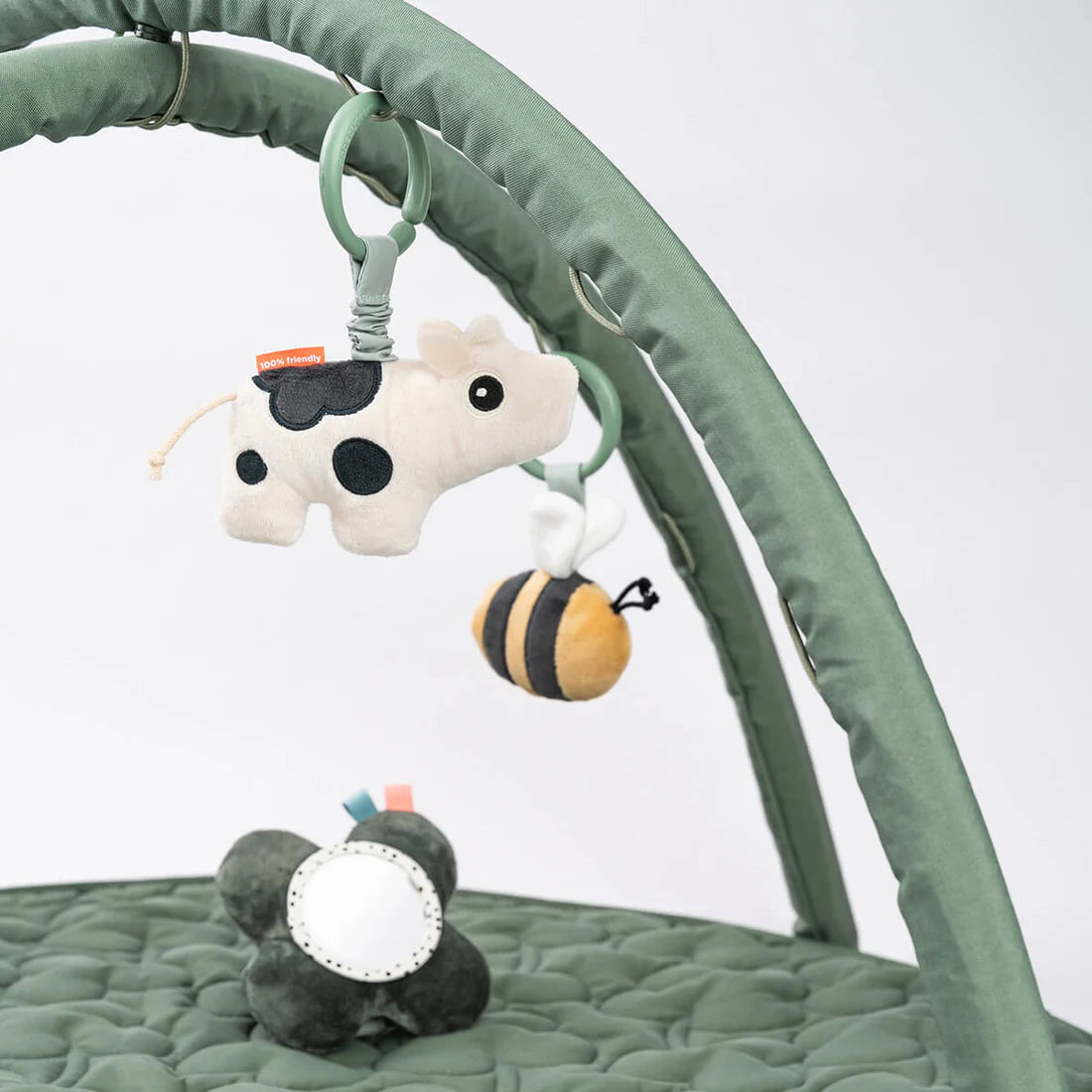 Baby Play Gym
