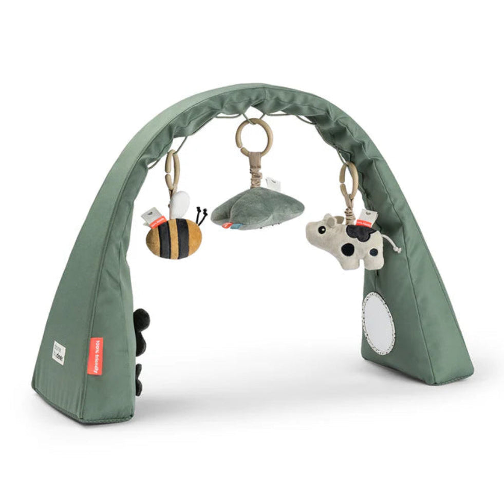 Baby Activity Arch
