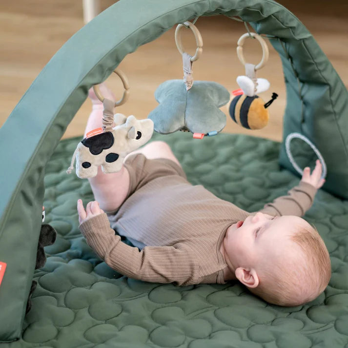 Baby Play Mat