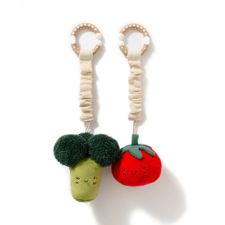Vegetable Rattles