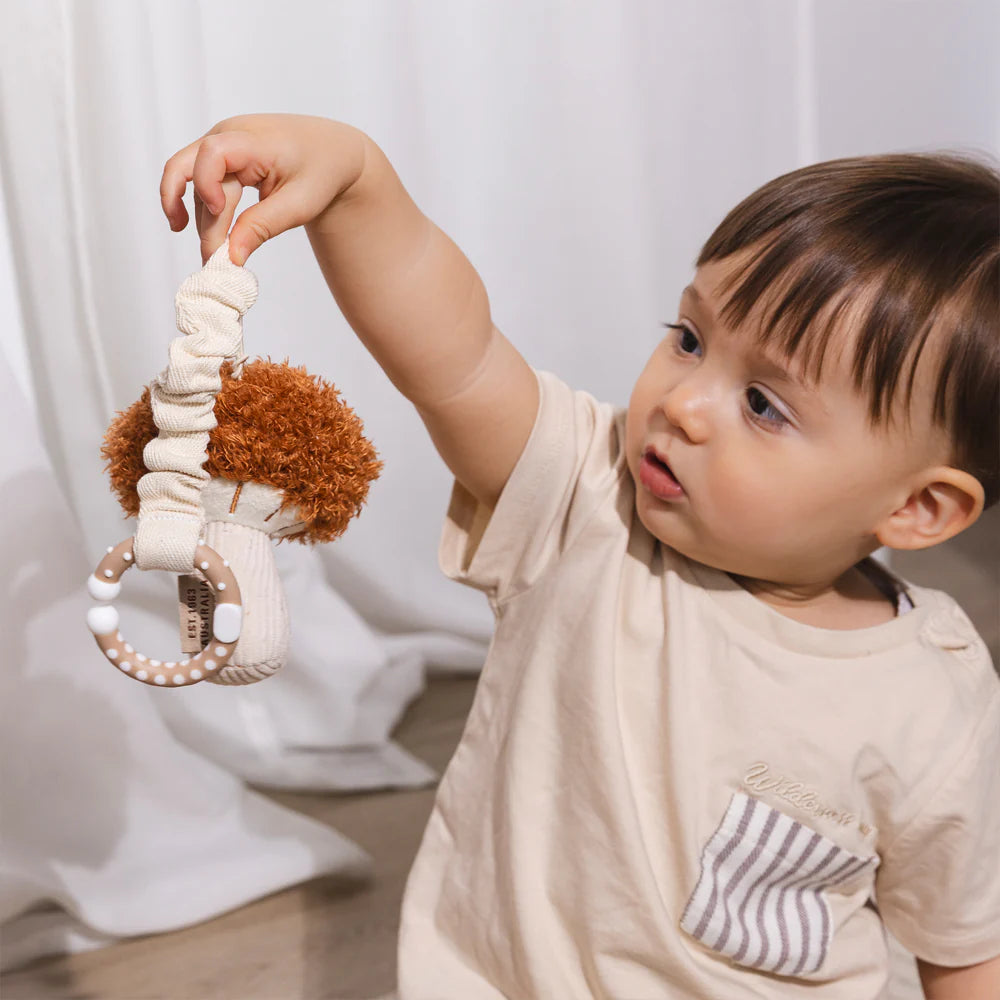 Ring Toy