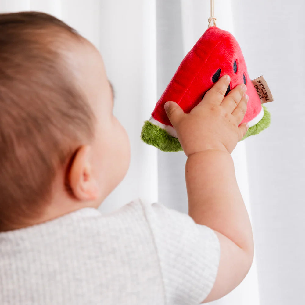 Watermelon Plush