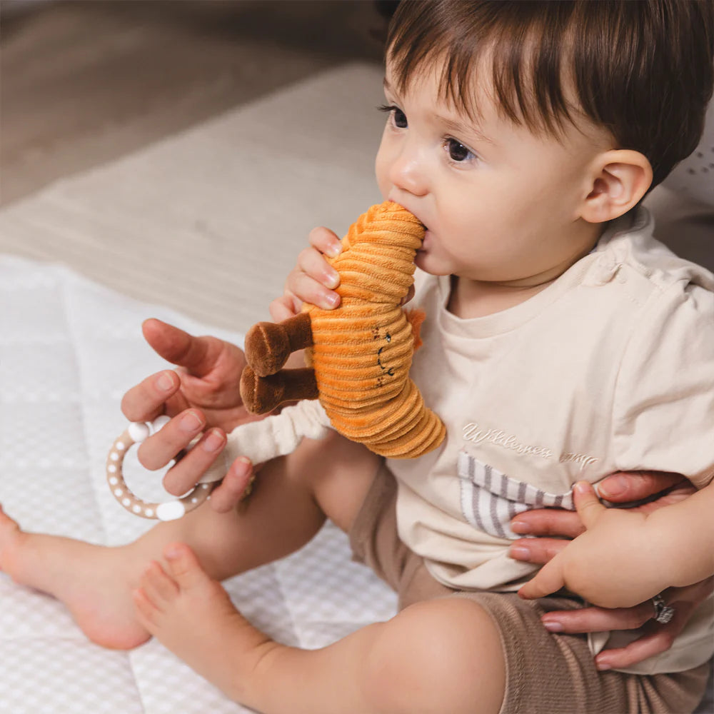 Baby Teether