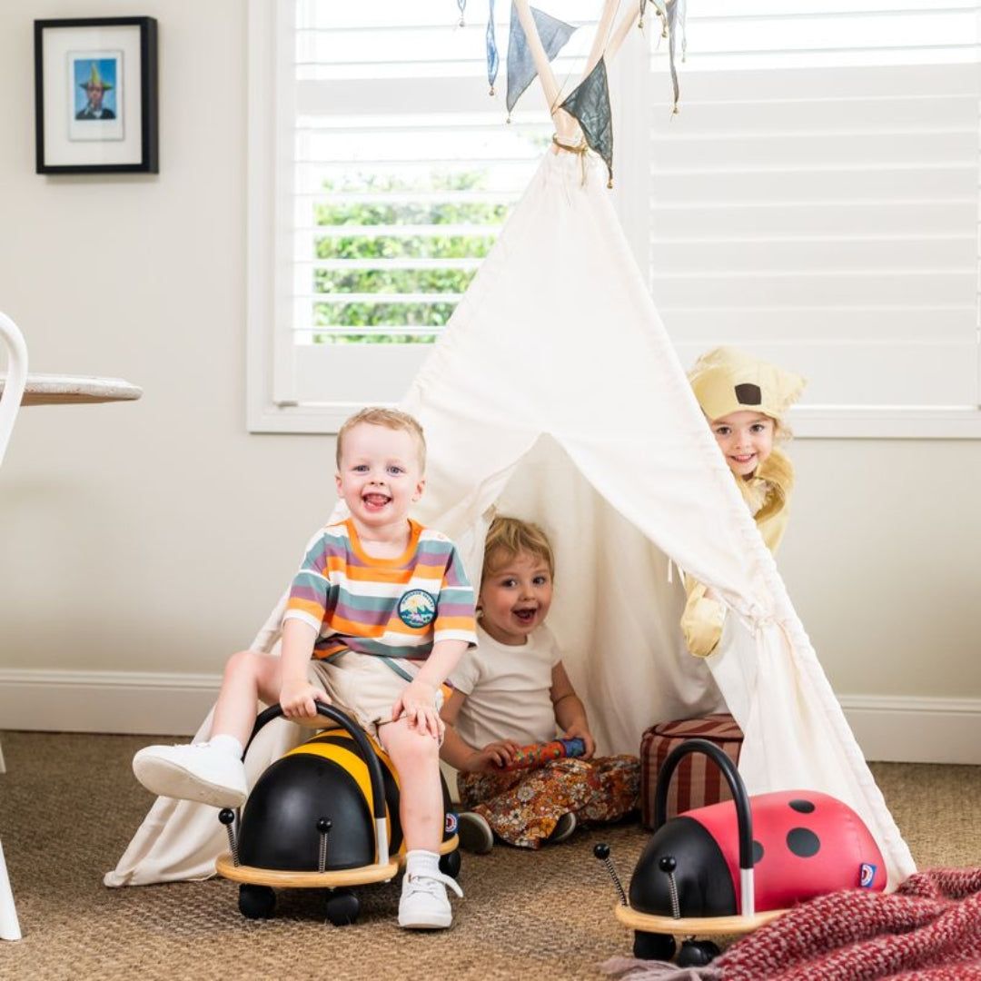 Flippi Teepee