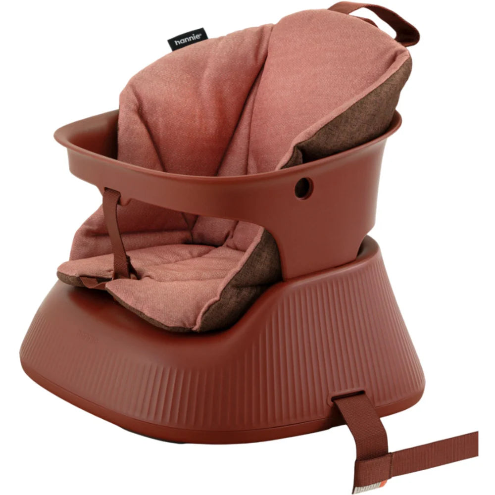 Brown BabyCarrier