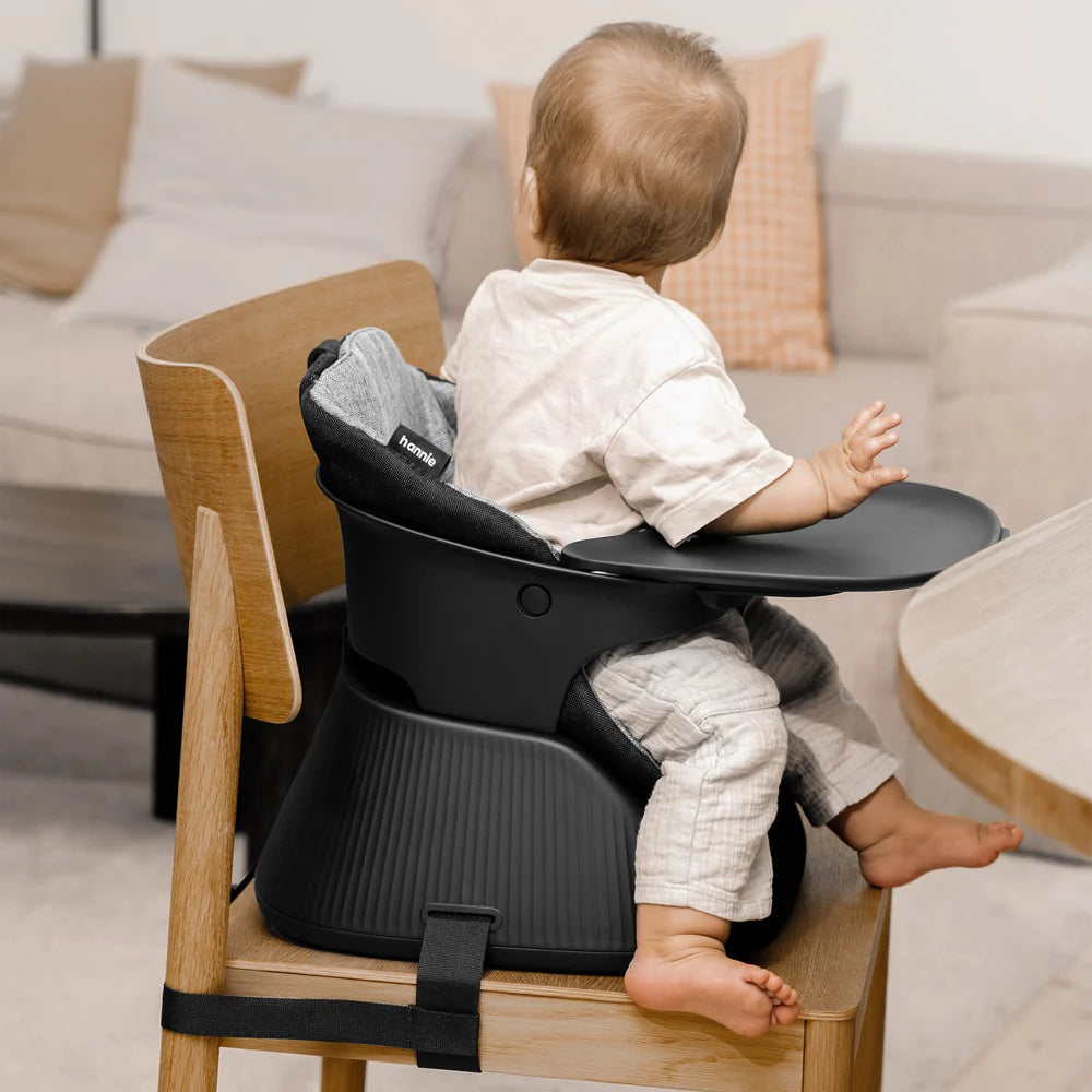 Baby HighChair
