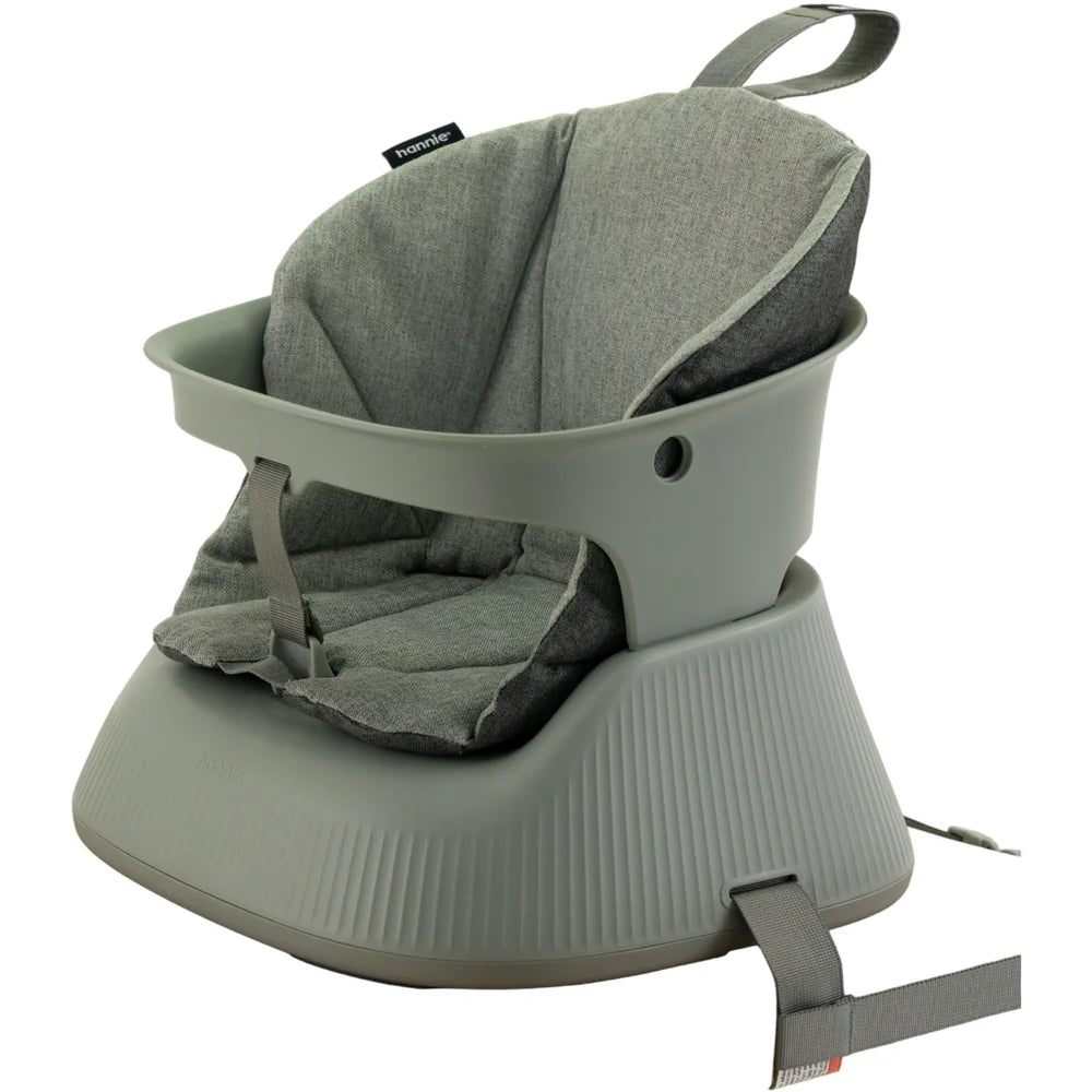Gray BabySeat