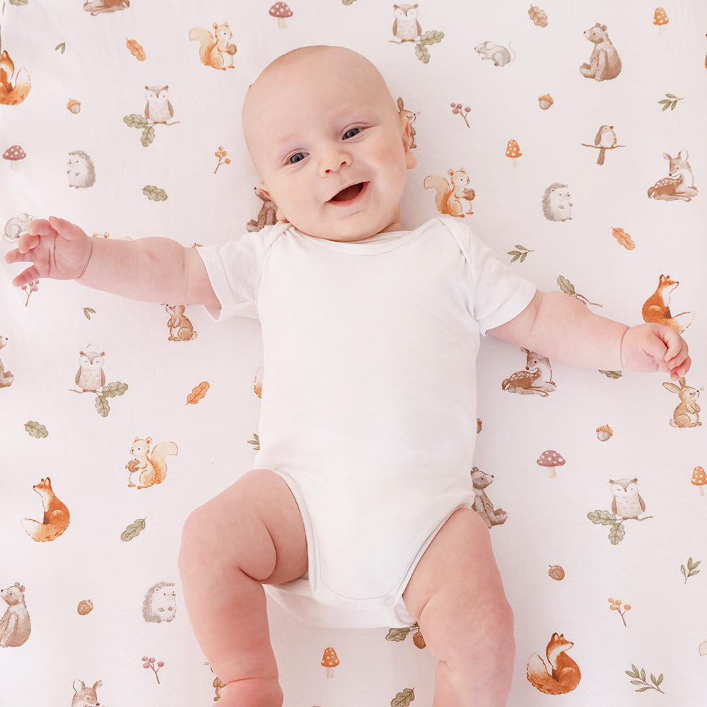 Living Textiles Organic Cotton Jersey Bedside Sleeper Fitted Sheets 2pk Fox & Friends