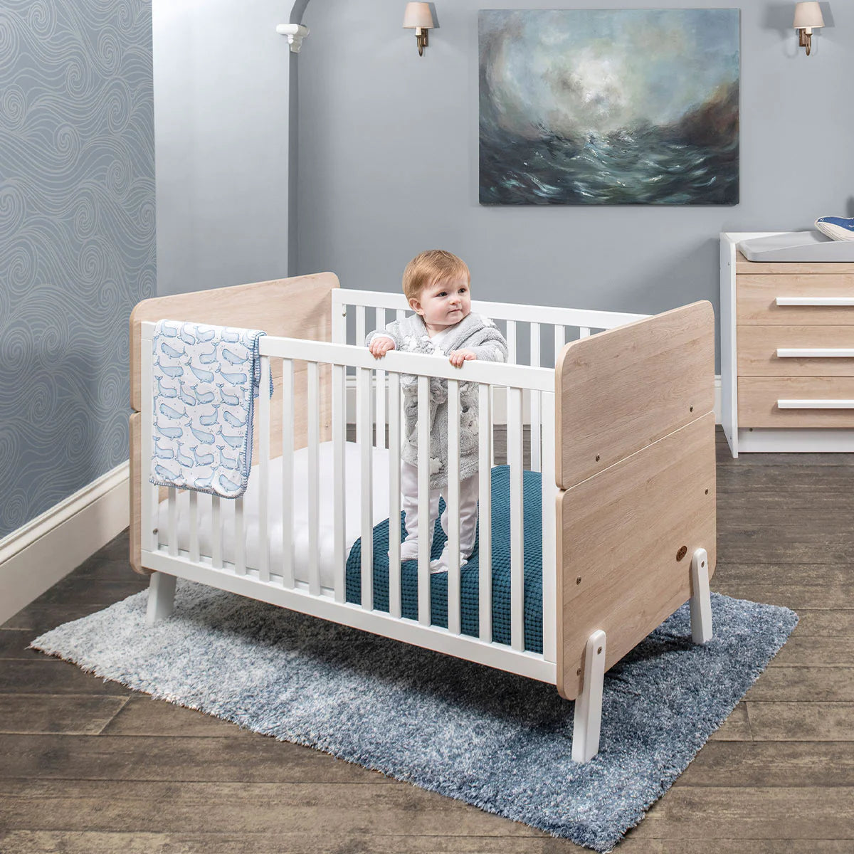 Baby Kingdom