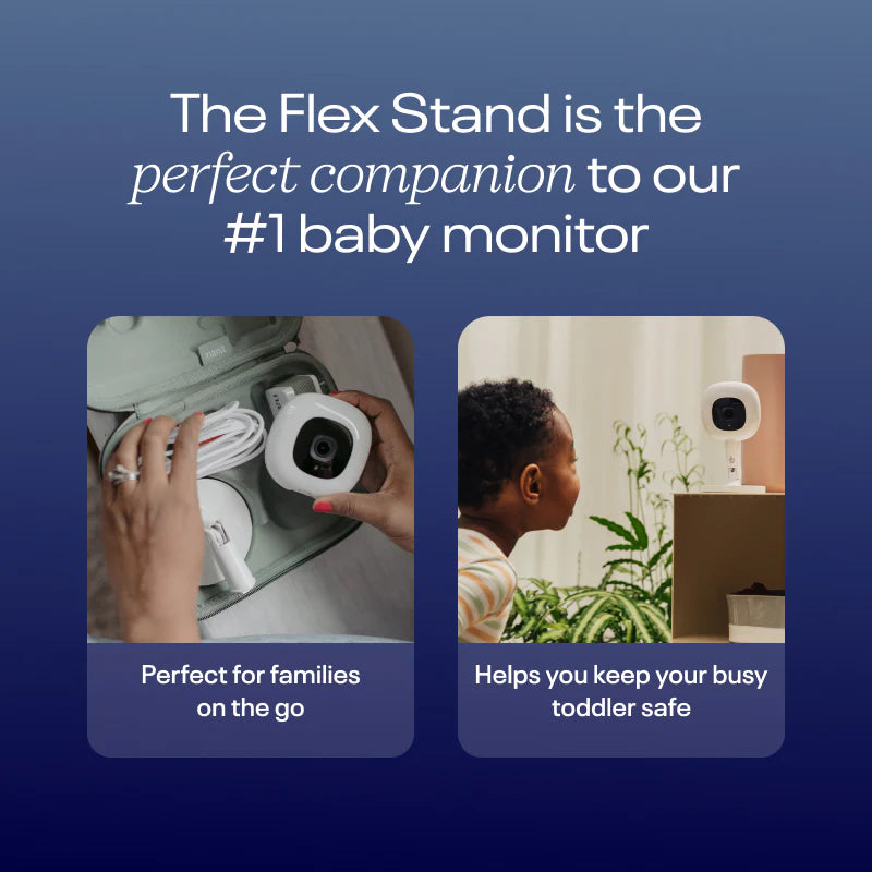 Flex Stand monitor