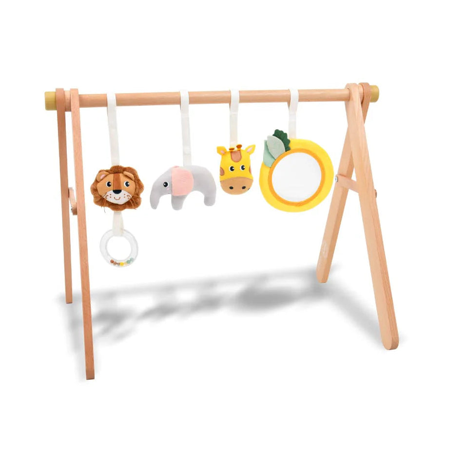 Moover Activity Gym