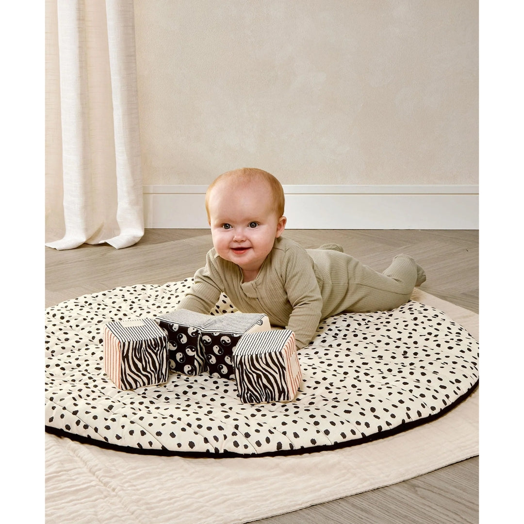 Mamas & Papas Another Fox Folding Cubes