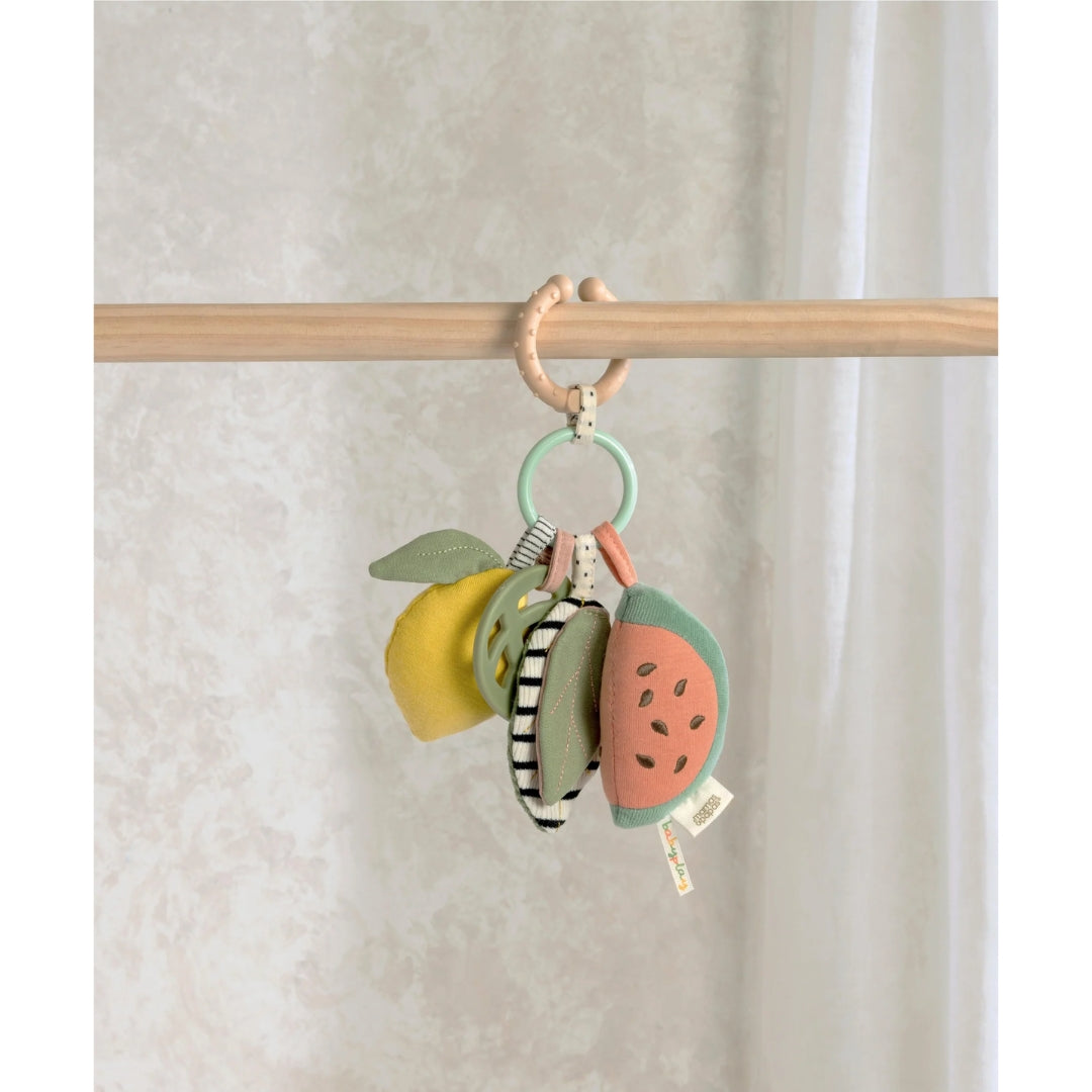 Mamas & Papas Babyplay Activity Linkie Toy Fruit