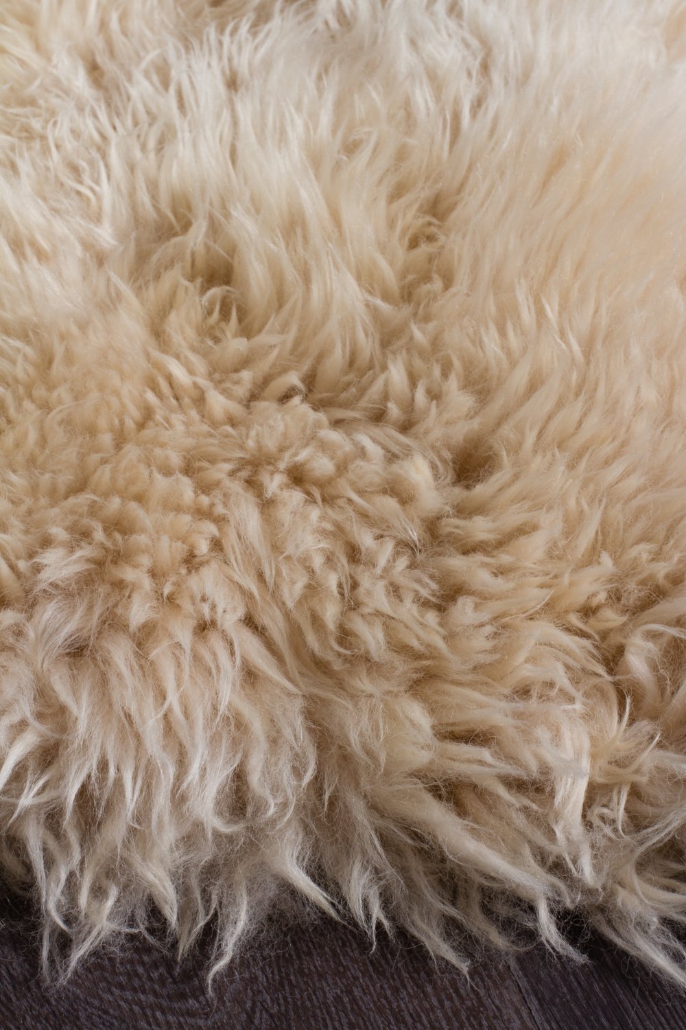 Sybaki Natural New Zealand Sheep Skin Rug Champagne 105x70cm