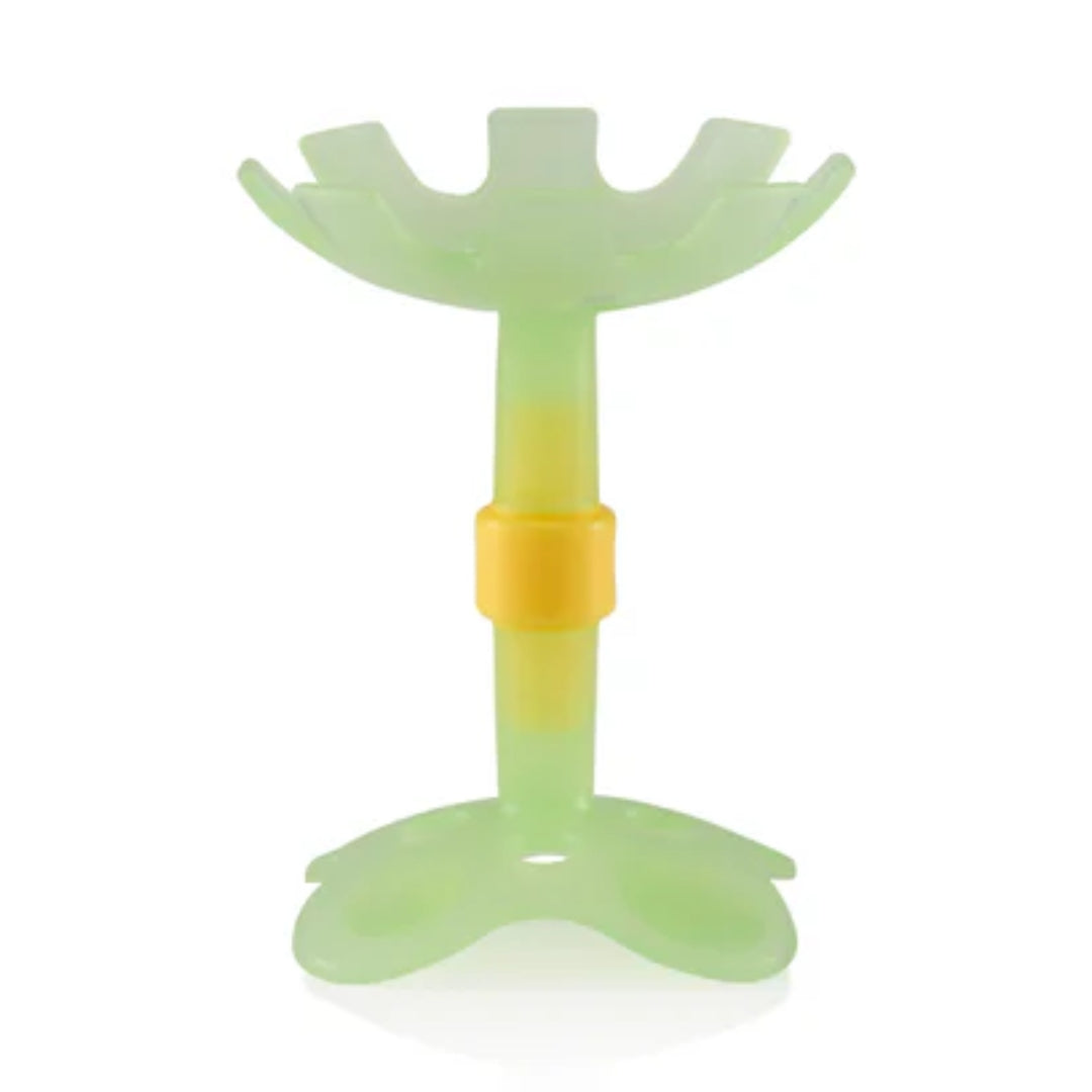 Pigeon Training Teether Step 1