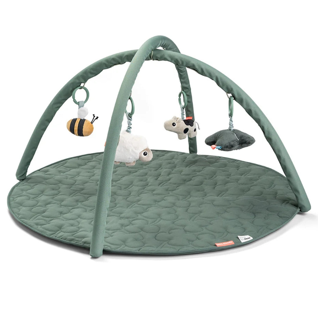 Baby Play Gym