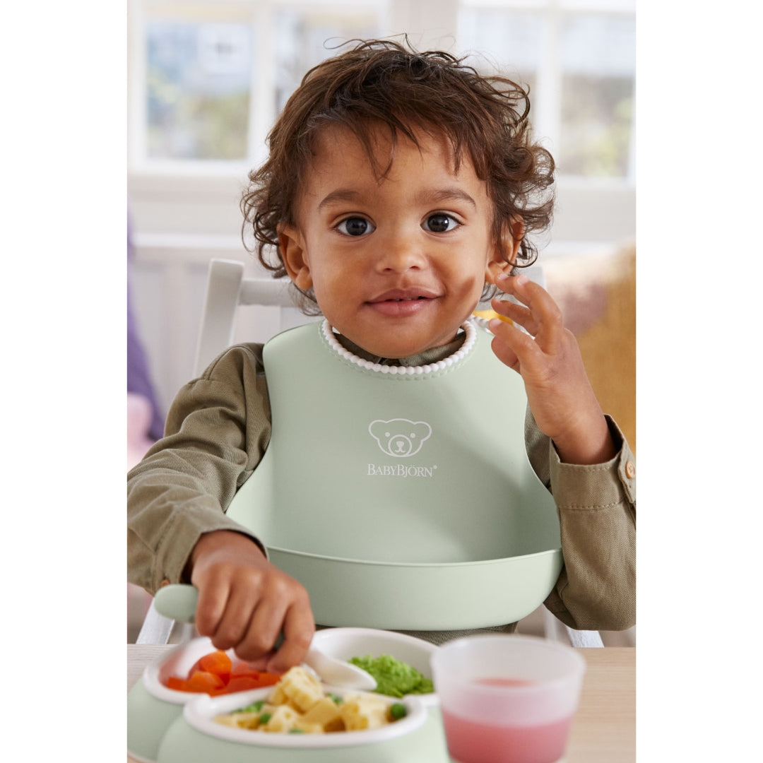 BabyBjorn Baby Bib 2 Pack Powder Green/Powder Blue