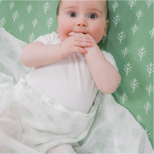 Bubba Blue Nordic Muslin Wrap Avocado/Forest 3pk
