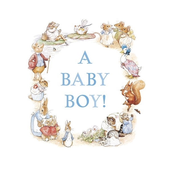 Waterlyn Beatrix Potter Baby Boy Greeting Card