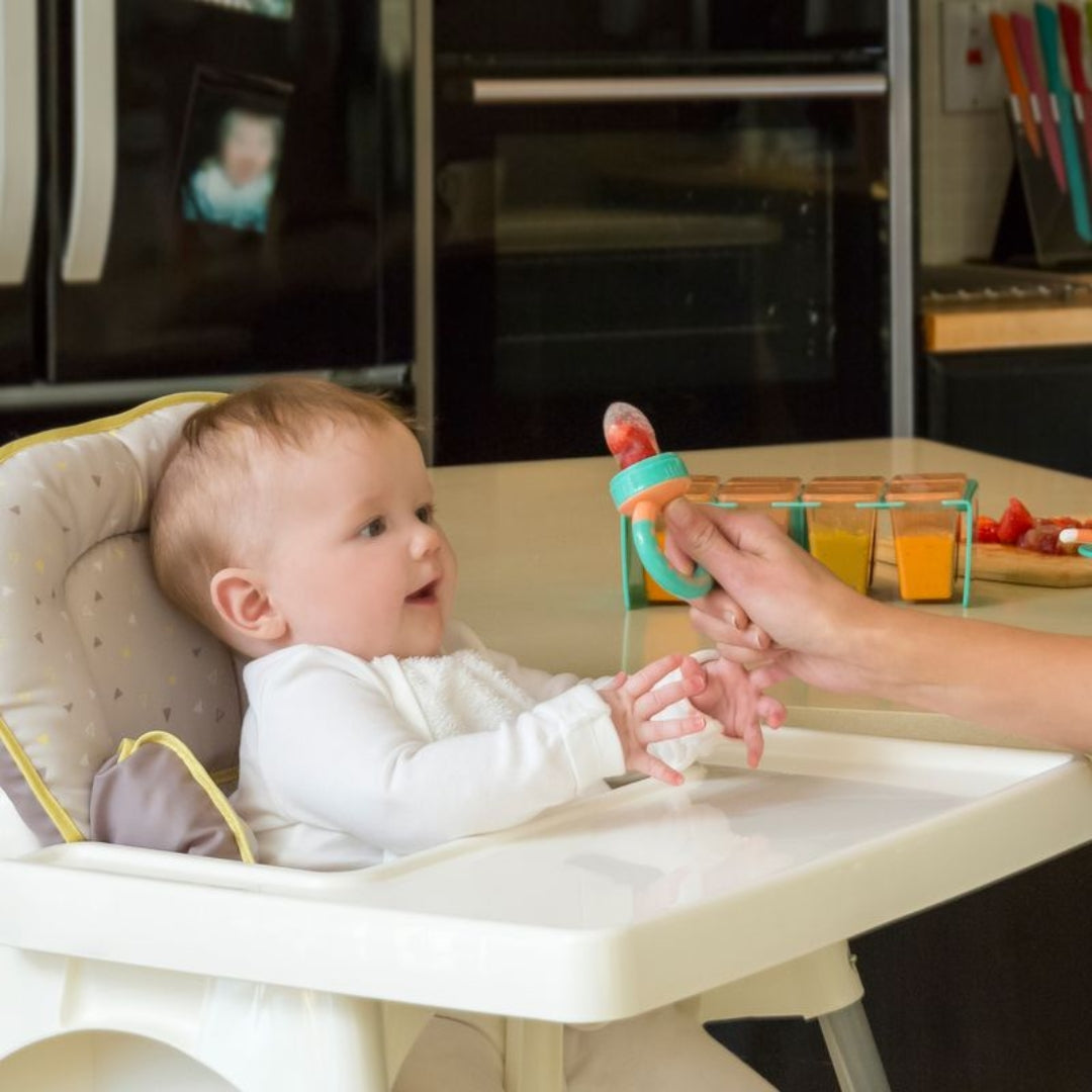 ClevaMama ClevaFeed Silicone Self Feeder with Extra Teat