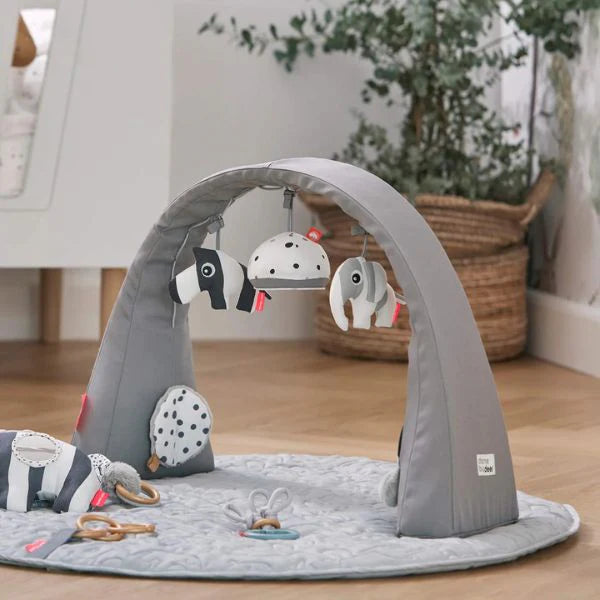 Baby Play Gym