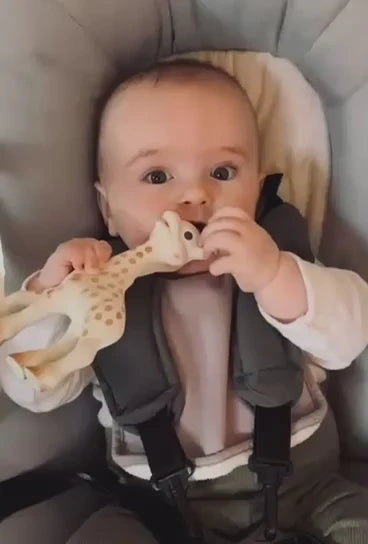 Sophie La Giraffe Gift Box