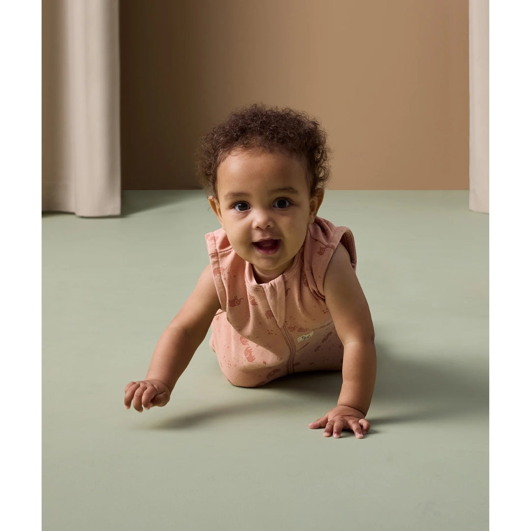 ErgoPouch Jersey Sleeping Bag 0.2 Tog 2-4y Elephant Parade