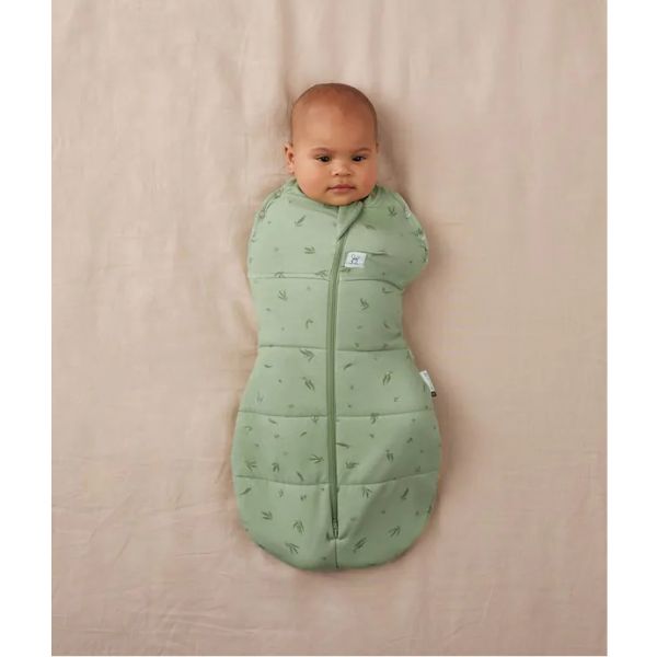 ErgoPouch Cocoon Swaddle Bag 0-3m 3.5Tog Willow