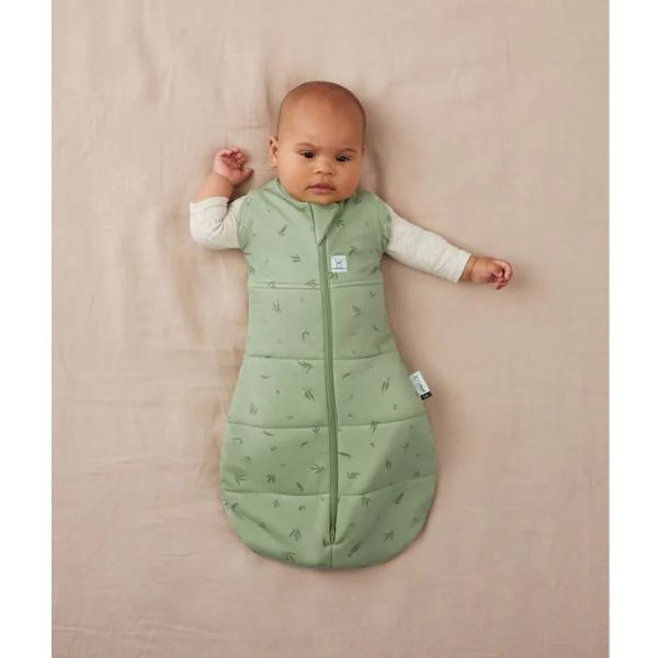 ErgoPouch Cocoon Swaddle Bag 3-6m 3.5Tog Willow
