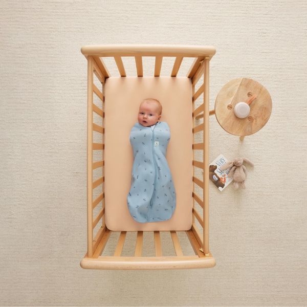 ErgoPouch Cocoon Swaddle Bag 0.2 Tog 0-3m Dragonflies