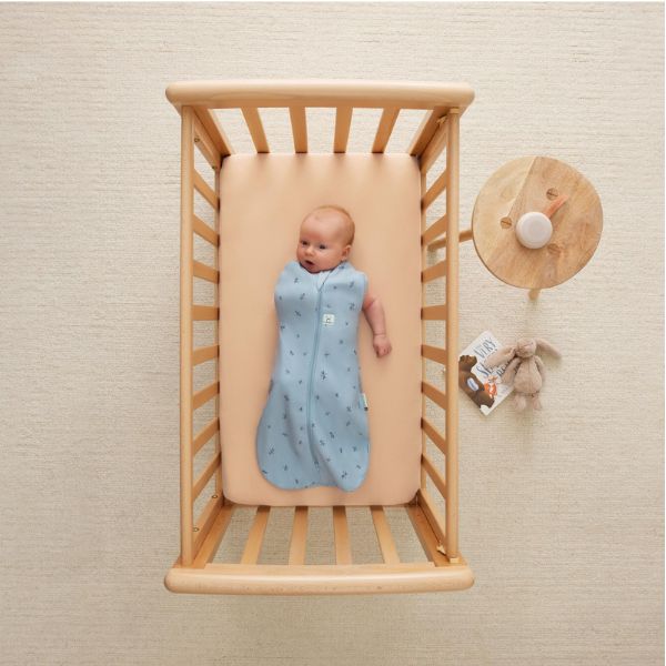 ErgoPouch Cocoon Swaddle Bag 0.2 Tog size 0000 Dragonflies