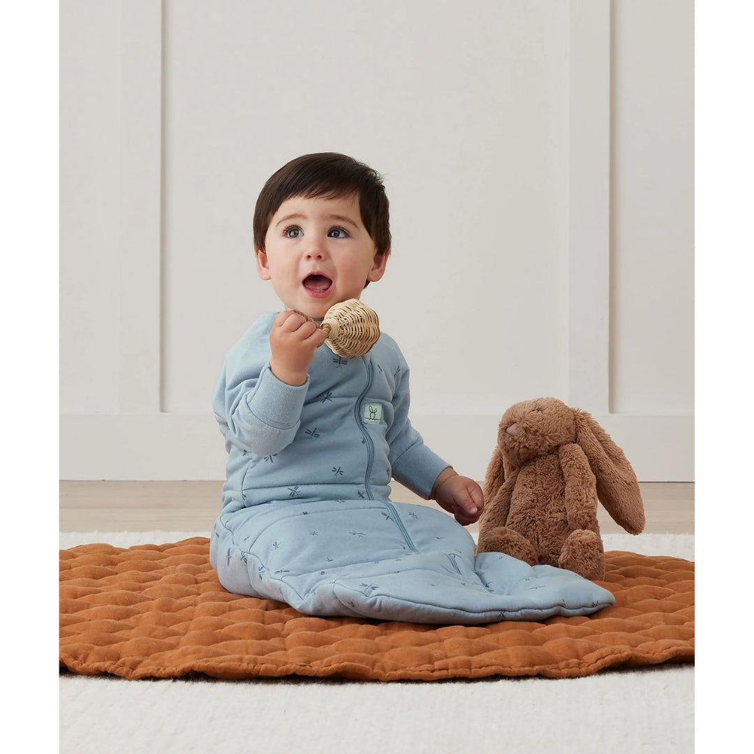 ErgoPouch Jersey Sleeping Bag with Sleeves 3.5Tog 2-4y Dragonflies