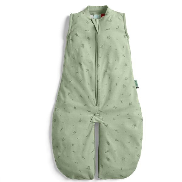 ErgoPouch Jersey Sleep Suit Bag 0.2 Tog 3-12m Willow