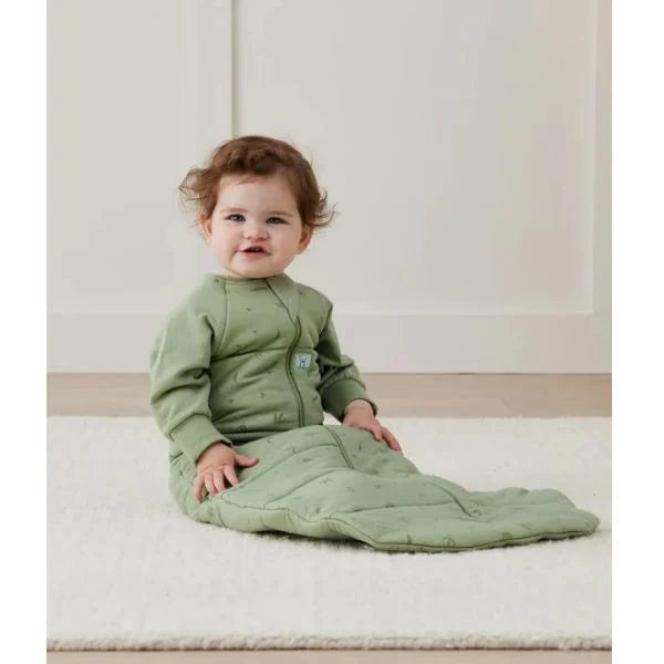 ErgoPouch Jersey Sleeping Bag with Sleeves 3.5Tog 3-12m Willow