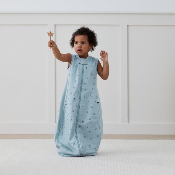 ErgoPouch Sheeting Sleep Bag 2-4yrs 0.3 Tog Dragonflies