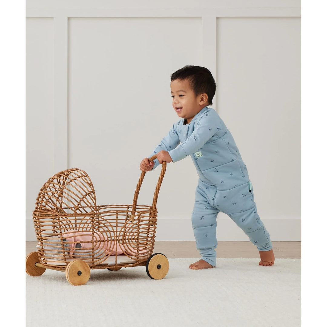 ErgoPouch Sleep Onesie 3.5Tog 6-12m Dragonflies