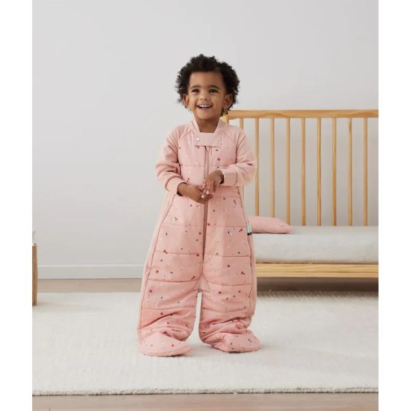 ErgoPouch Sleep Suit Bag 8-24m 2.5Tog Daisies