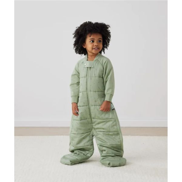 ErgoPouch Sleep Suit Bag 2-4yrs 2.5Tog Willow