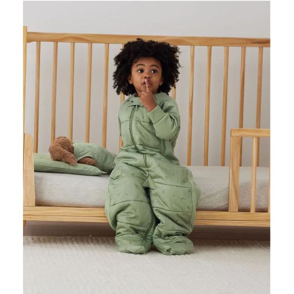 ErgoPouch Sleep Suit Bag 2-4yrs 2.5Tog Willow