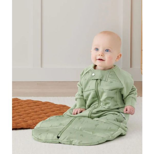 ErgoPouch Sleep Suit Bag 2-4y 3.5Tog Willow