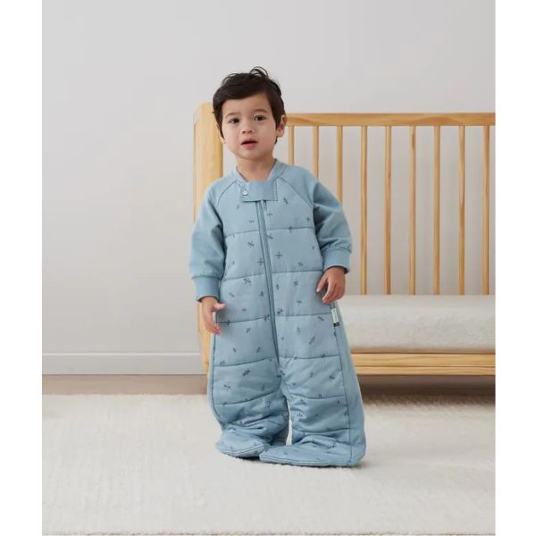 ErgoPouch Sleep Suit Bag 3-12m 3.5Tog Dragonflies