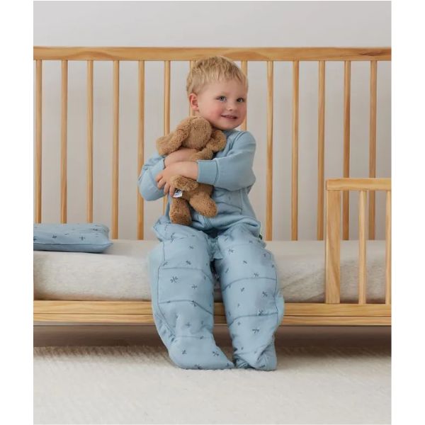 ErgoPouch Sleep Suit Bag 3-12m 3.5Tog Dragonflies