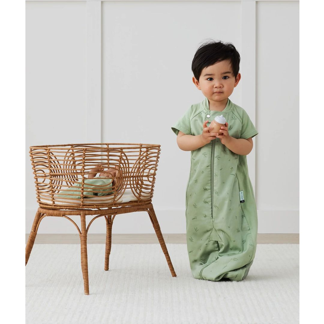 ErgoPouch Sleep Suit Bag 8-24m 1.0Tog Willow