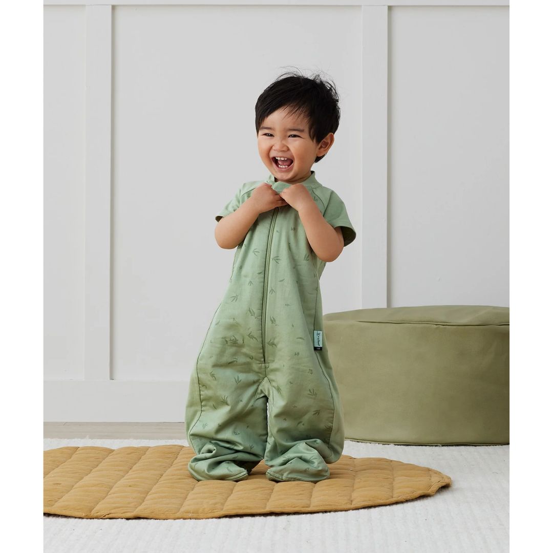 ErgoPouch Sleep Suit Bag 2-4y 1.0Tog Willow