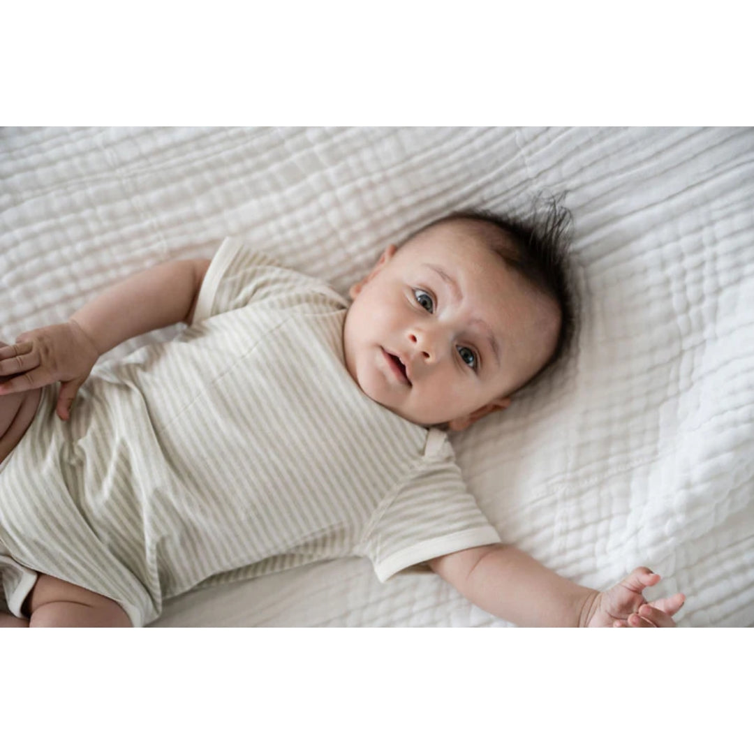 Fibre For Good Undyed Organic Cotton Short Sleeve Stripe Bodysuit Sage/Natural